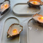 Oyster Shell Candle