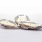 Silver Gilded Oyster Shell Candle Set