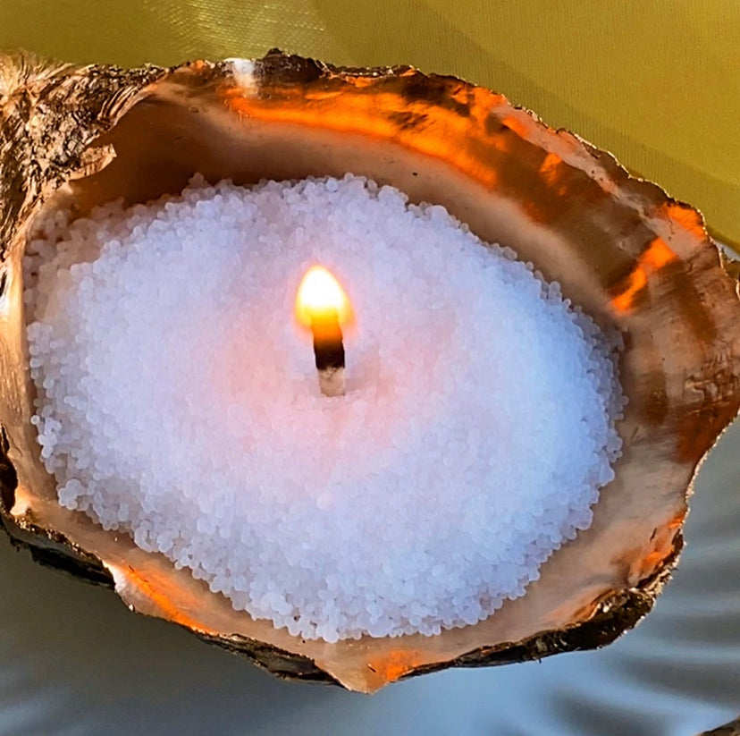 Magic Wax for Oyster shell candle set